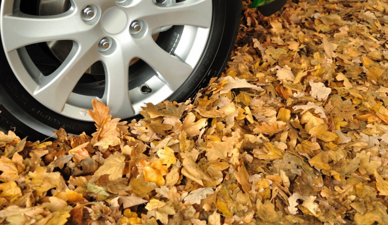 fotolia_28336499_subscription_l_800x600 fotolia_28336499_subscription_l_800x600